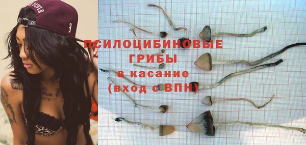 бутират Богданович
