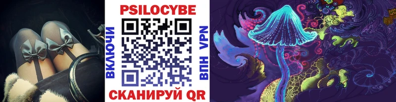 купить   Томск  Псилоцибиновые грибы GOLDEN TEACHER 